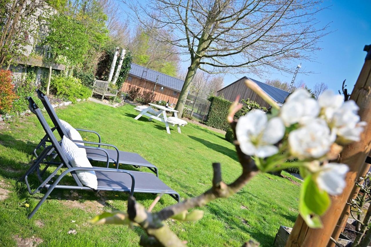 Sibbliem Luxury Homestay 法尔肯堡 外观 照片